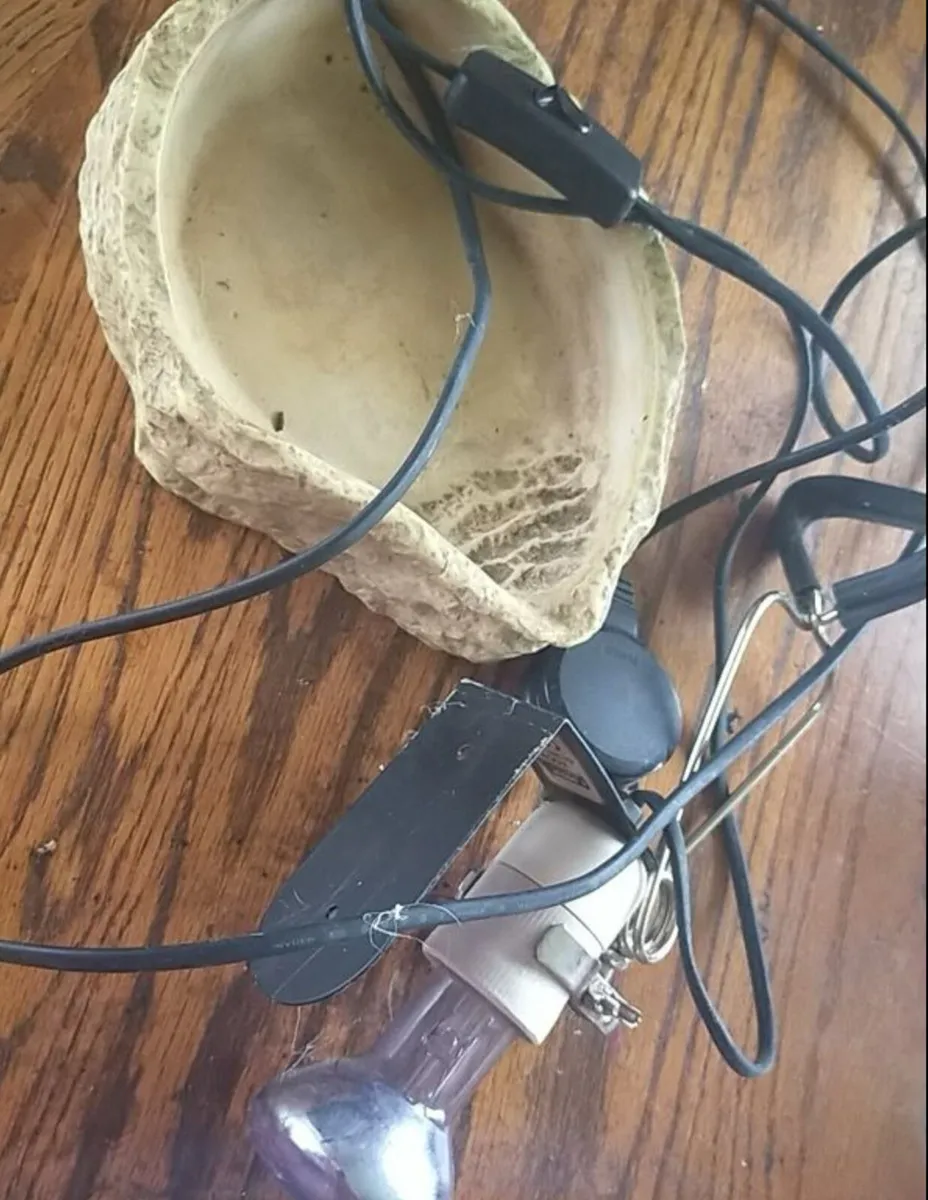 Reptile Tank Ceramic Light and Water Dish