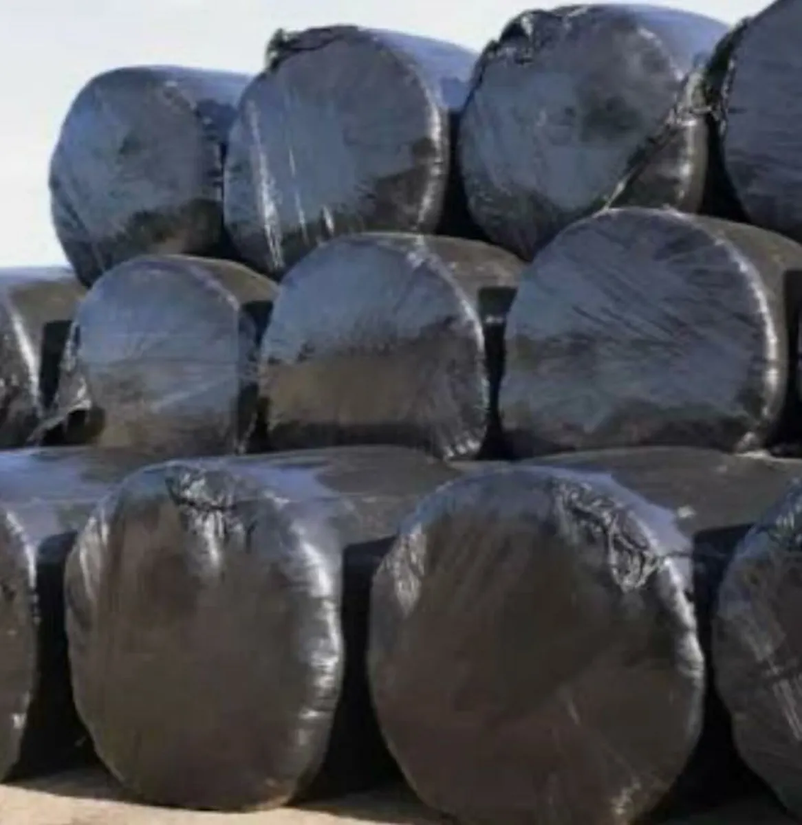 Hay /silage - Image 1