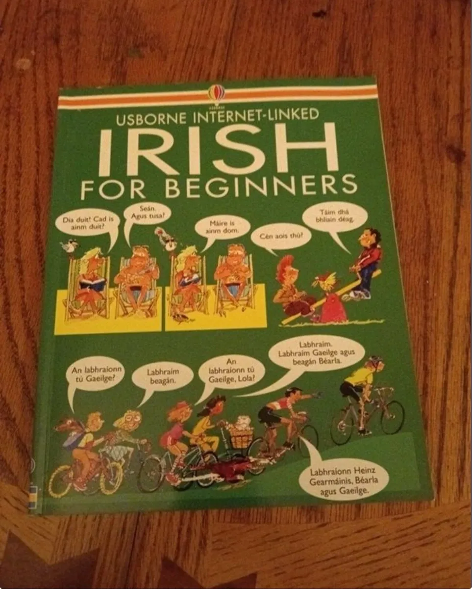 Irish for Beginners Book - Image 1