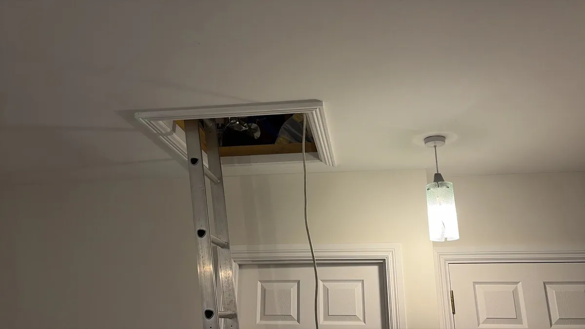 Attic Ladder 123 - Image 3