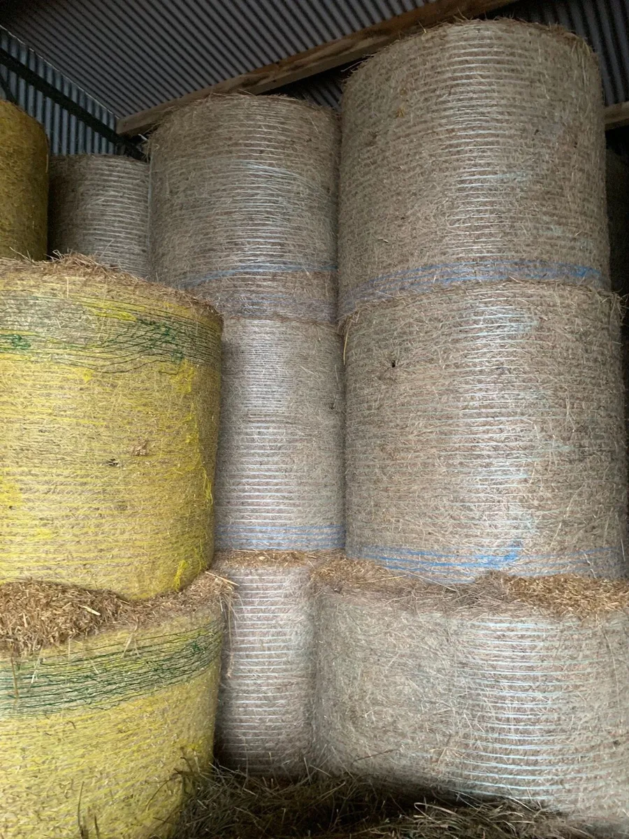 Hay bales - Image 1