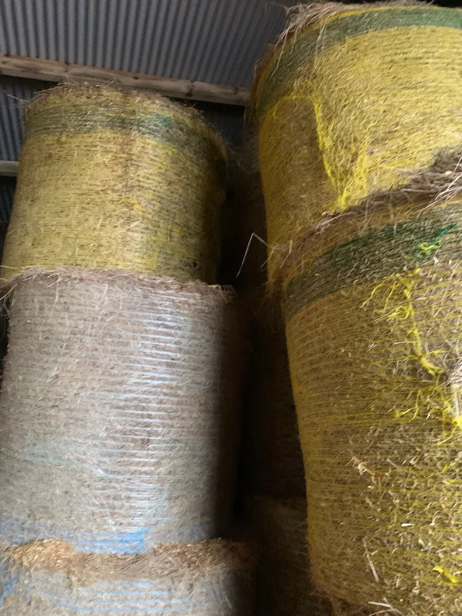 Hay bales - Image 2