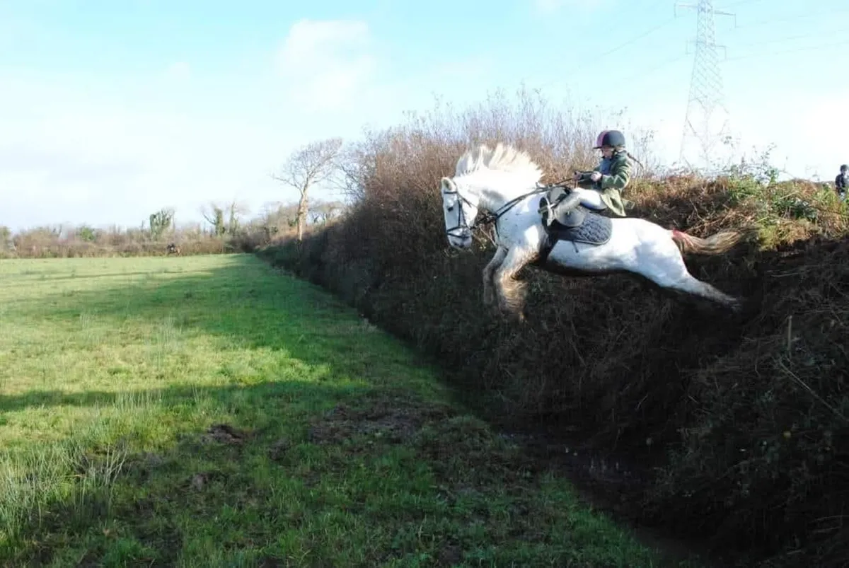 Superstar Hunter - Image 1