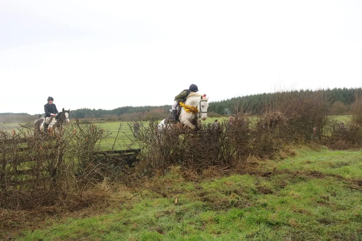 Superstar Hunter - Image 2