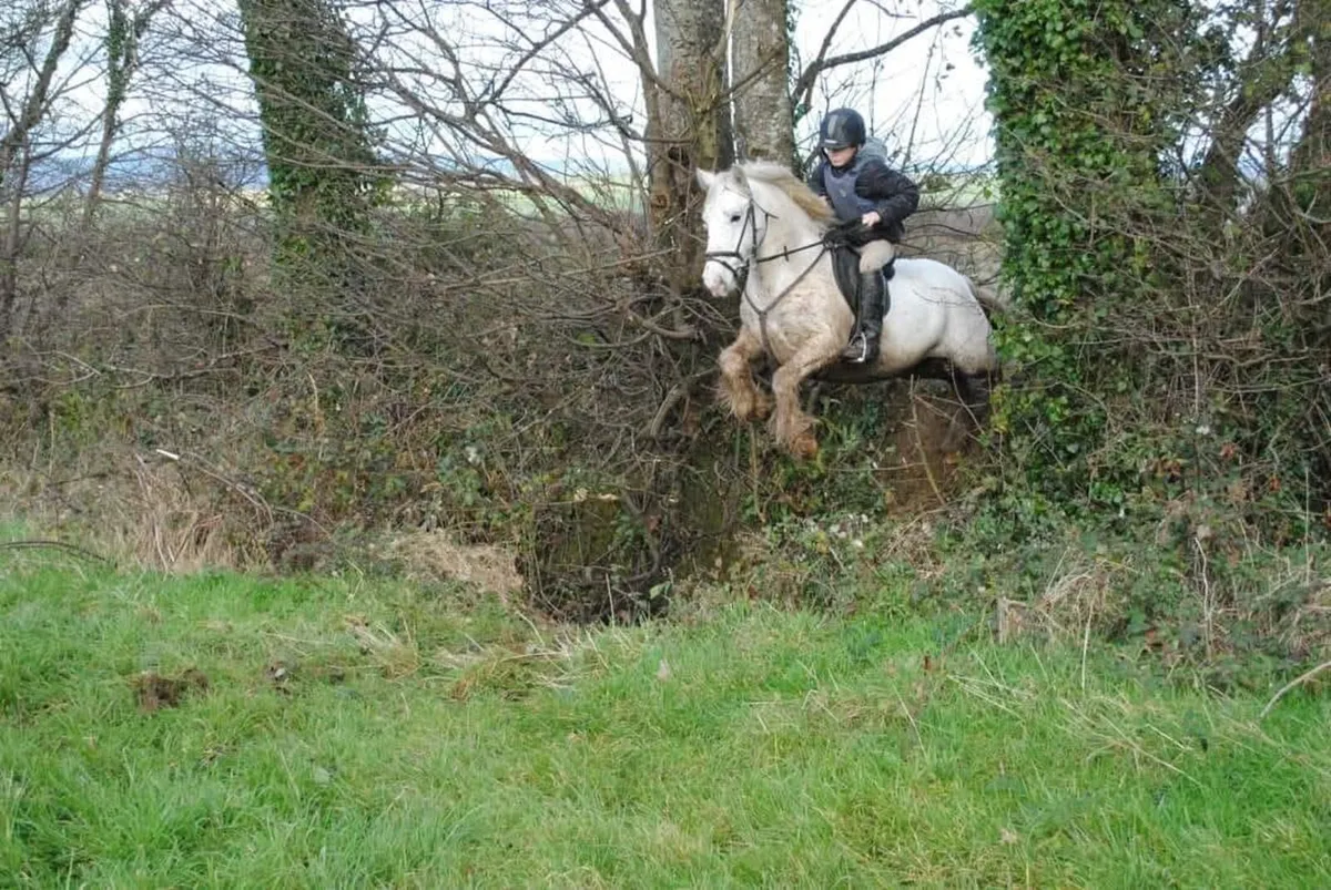 Superstar Hunter - Image 4