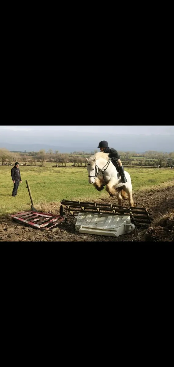 Superstar Hunter - Image 1