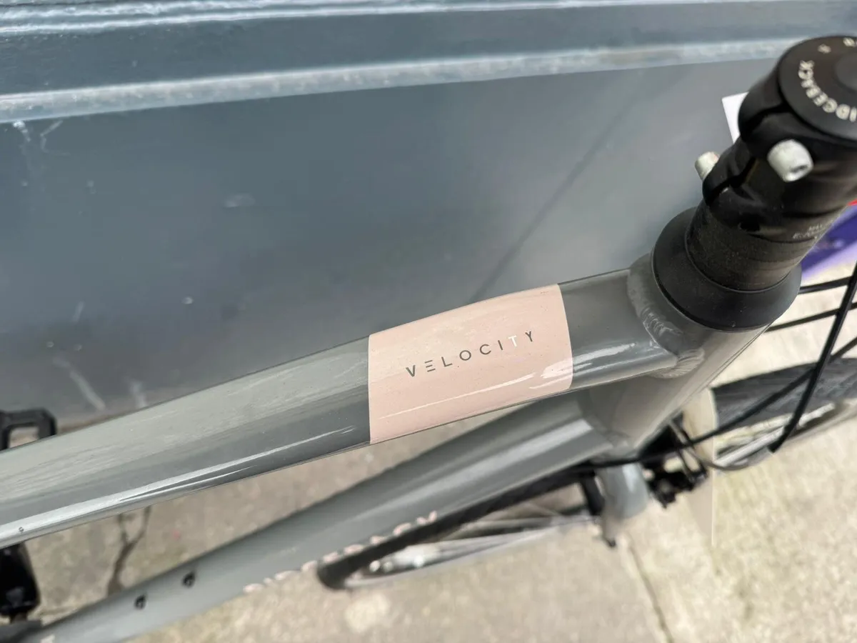 Ridgeback velocity ❗️Open 7 days of the week ❗️ - Image 4