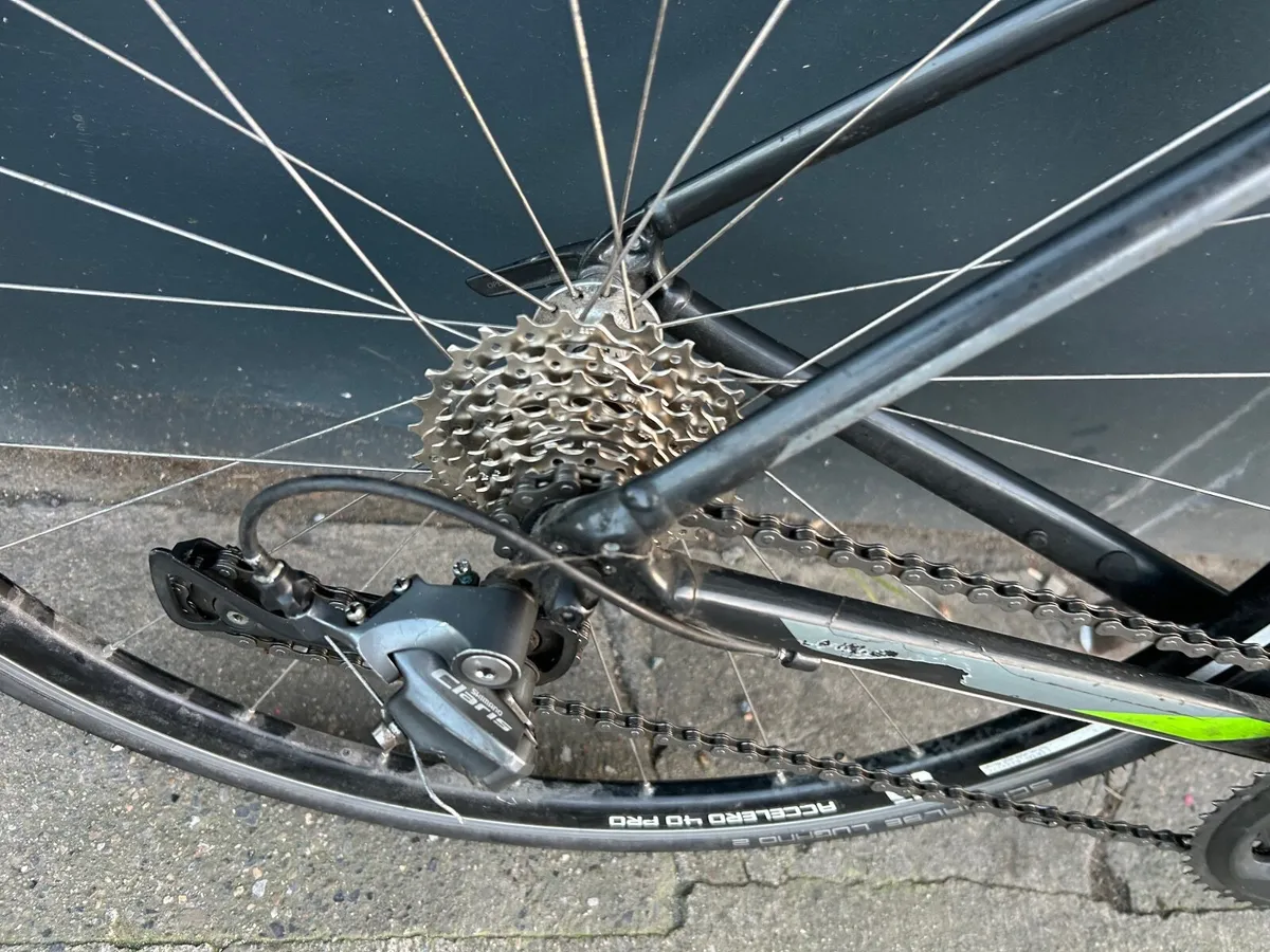 Giant contend SL ❗️Open 7 days of the week ❗️ - Image 4