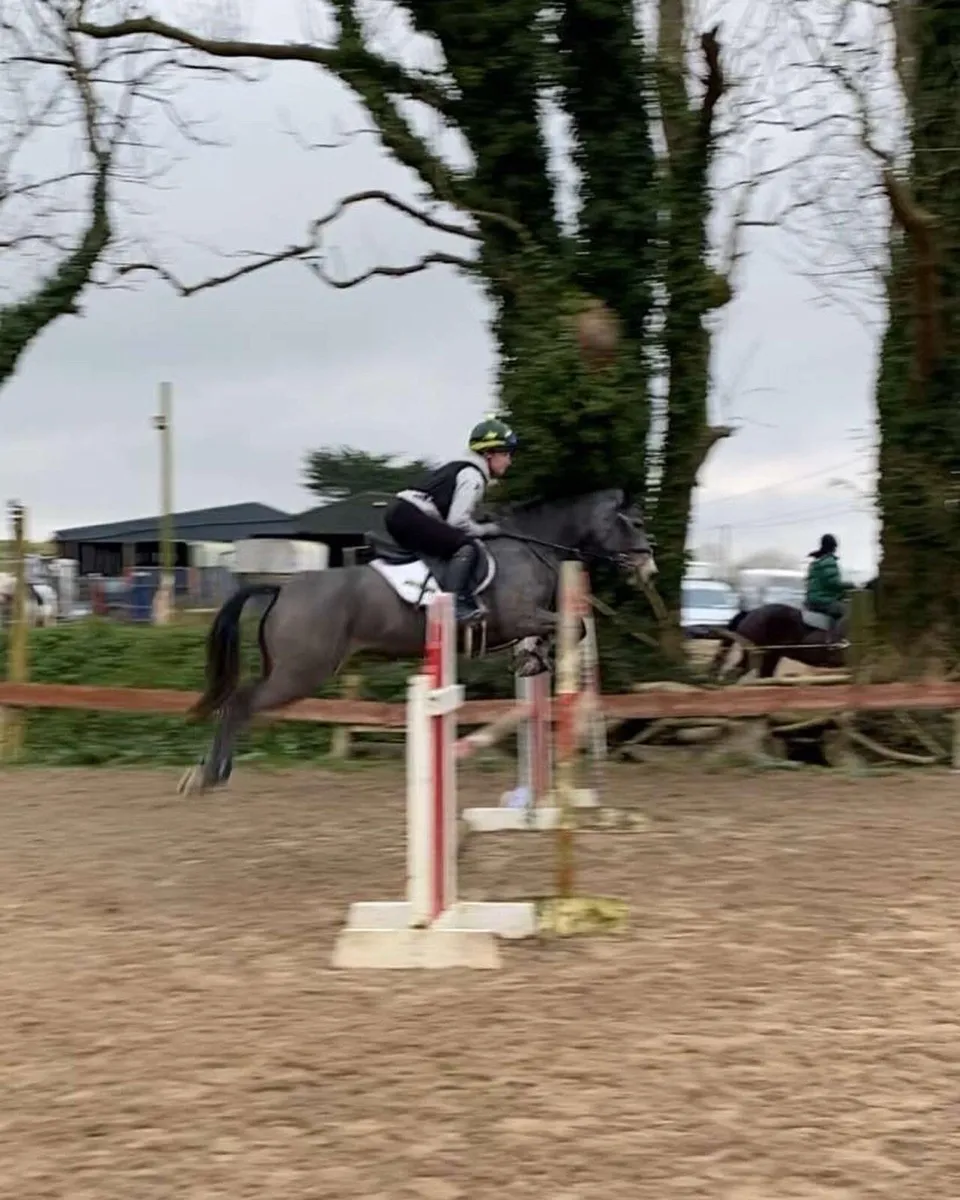 138 sji pony - Image 1