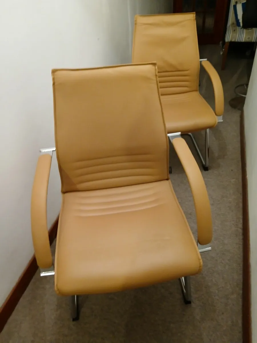 Reception chairs new ....cantiliver  full leather - Image 1