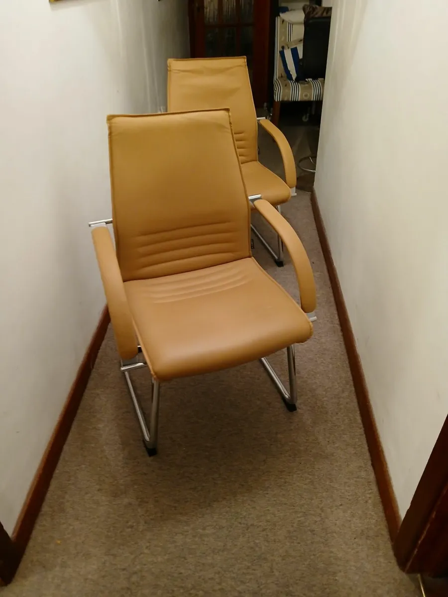 Reception chairs new ....cantiliver  full leather - Image 2