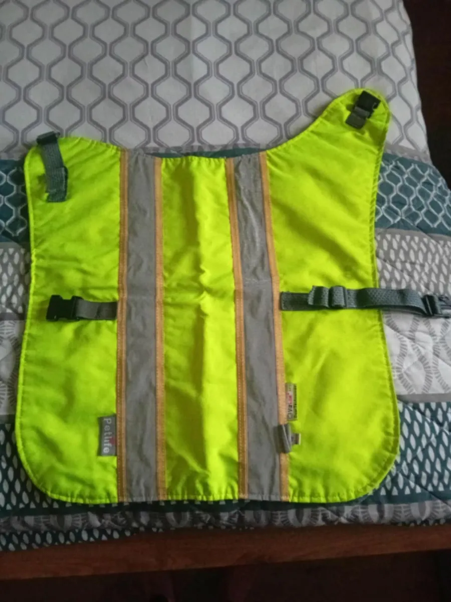 Dog Accessories - Image 1