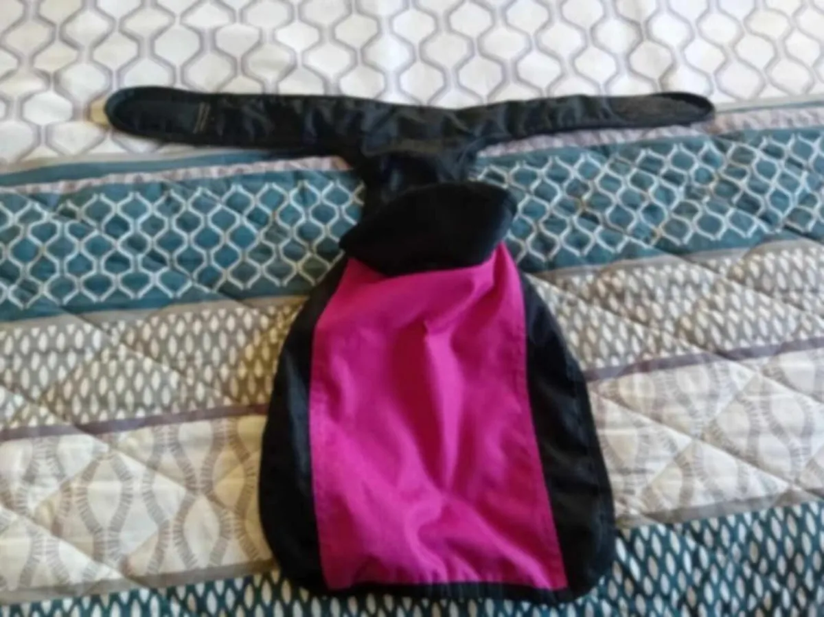 Dog Accessories - Image 2