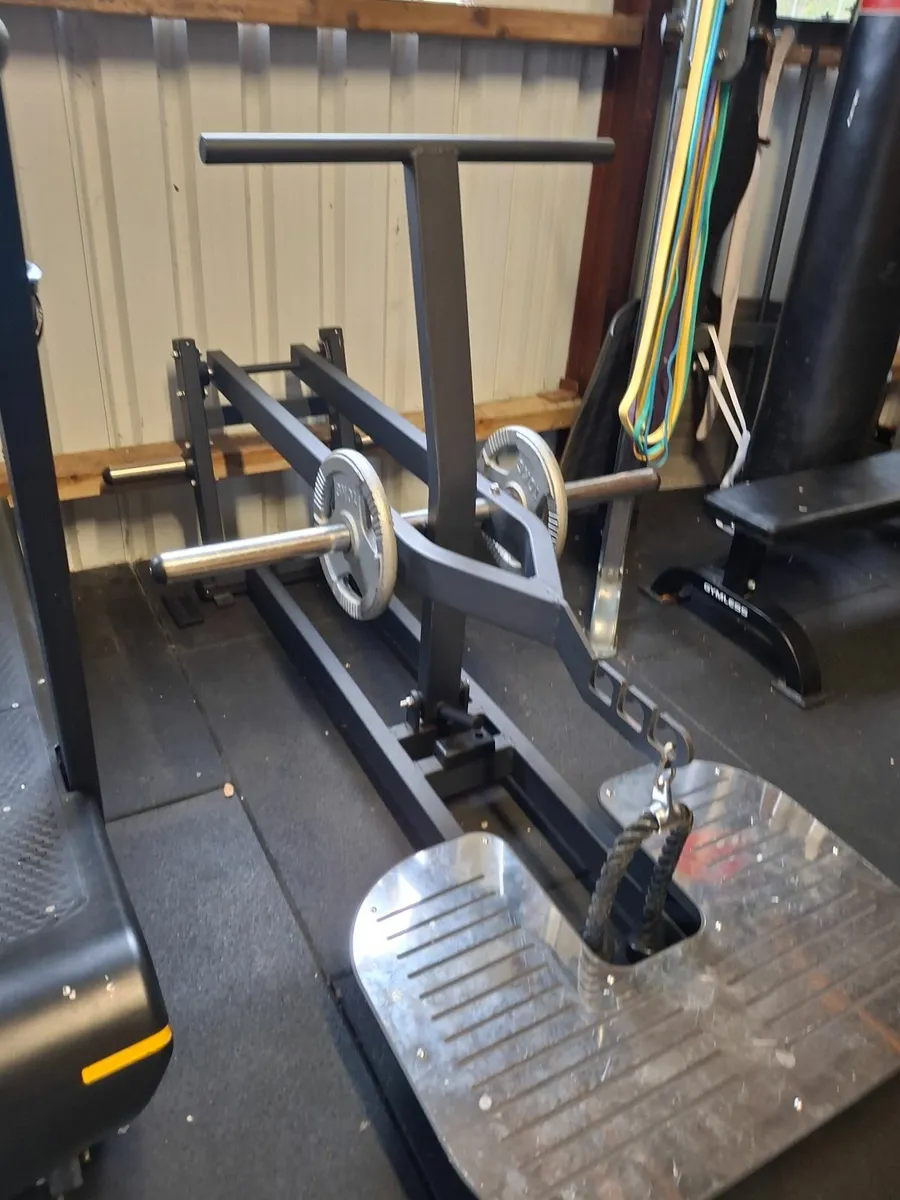 Belt Squat - Image 1