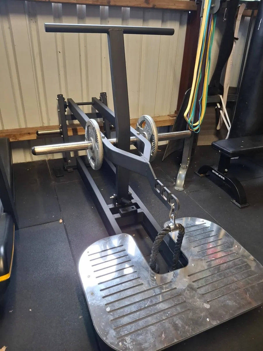 Belt Squat - Image 2