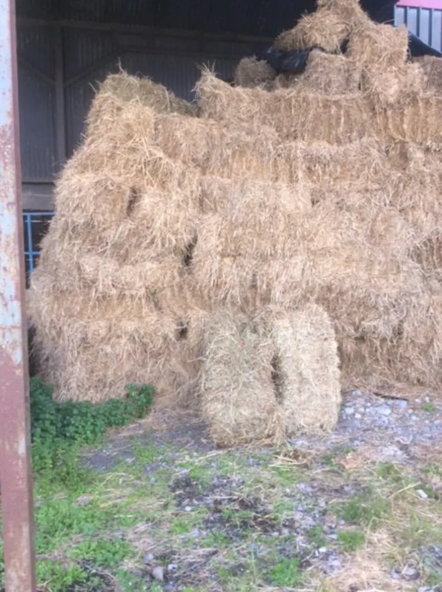 Hay bales - Image 1