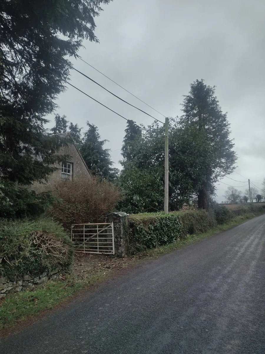 Approximately 25+ trees for sale for firewood - Image 4