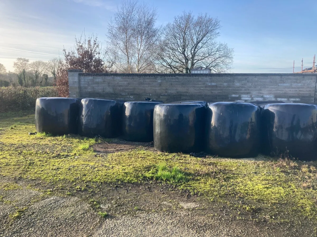 Round bale haylage - Image 1