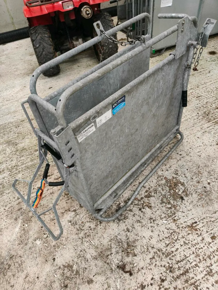 Calf dehorning crate - Image 1