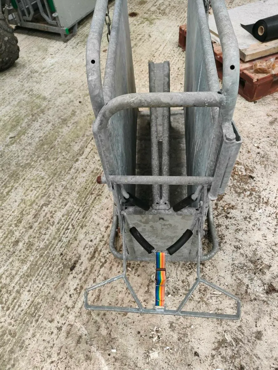 Calf dehorning crate - Image 2