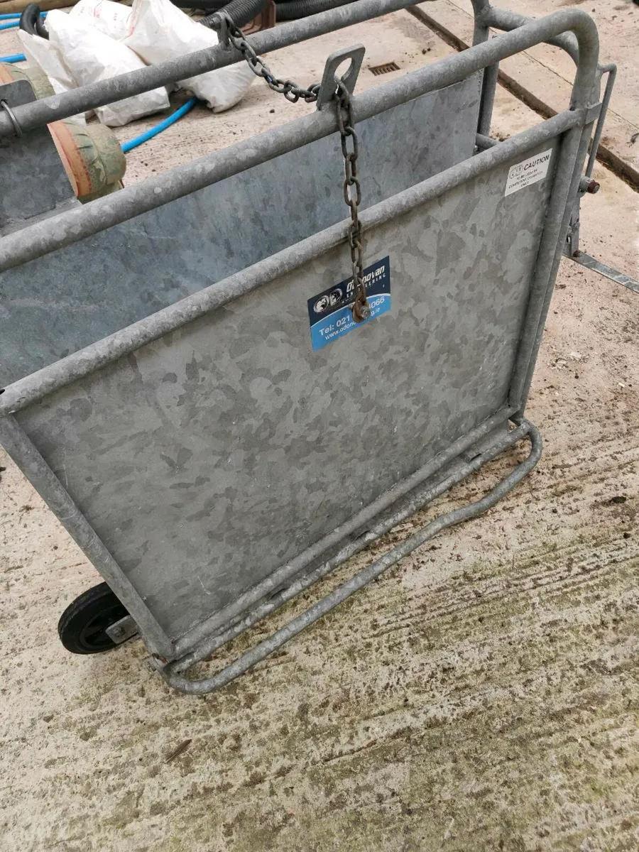 Calf dehorning crate - Image 3