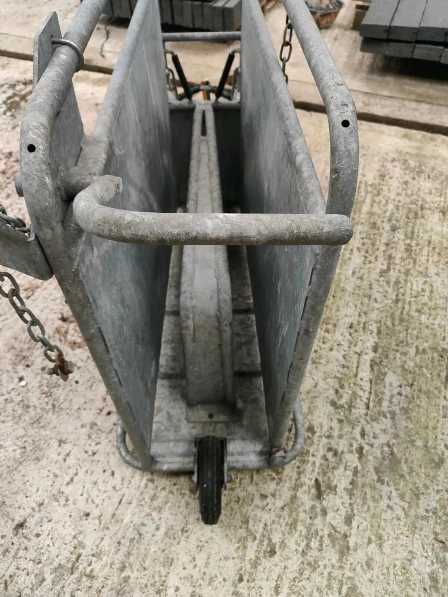 Calf dehorning crate - Image 4