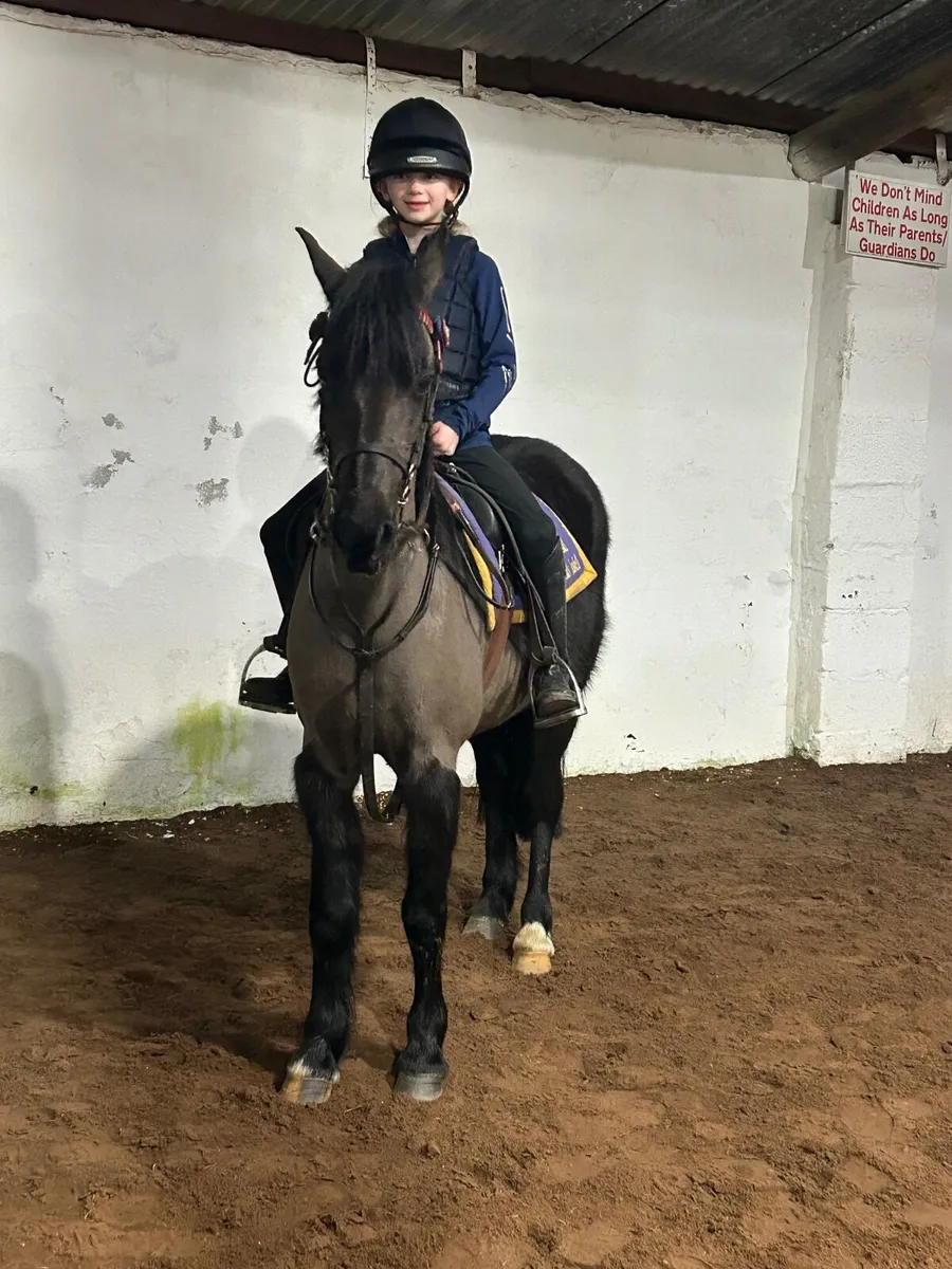 Smashing pony - Image 1