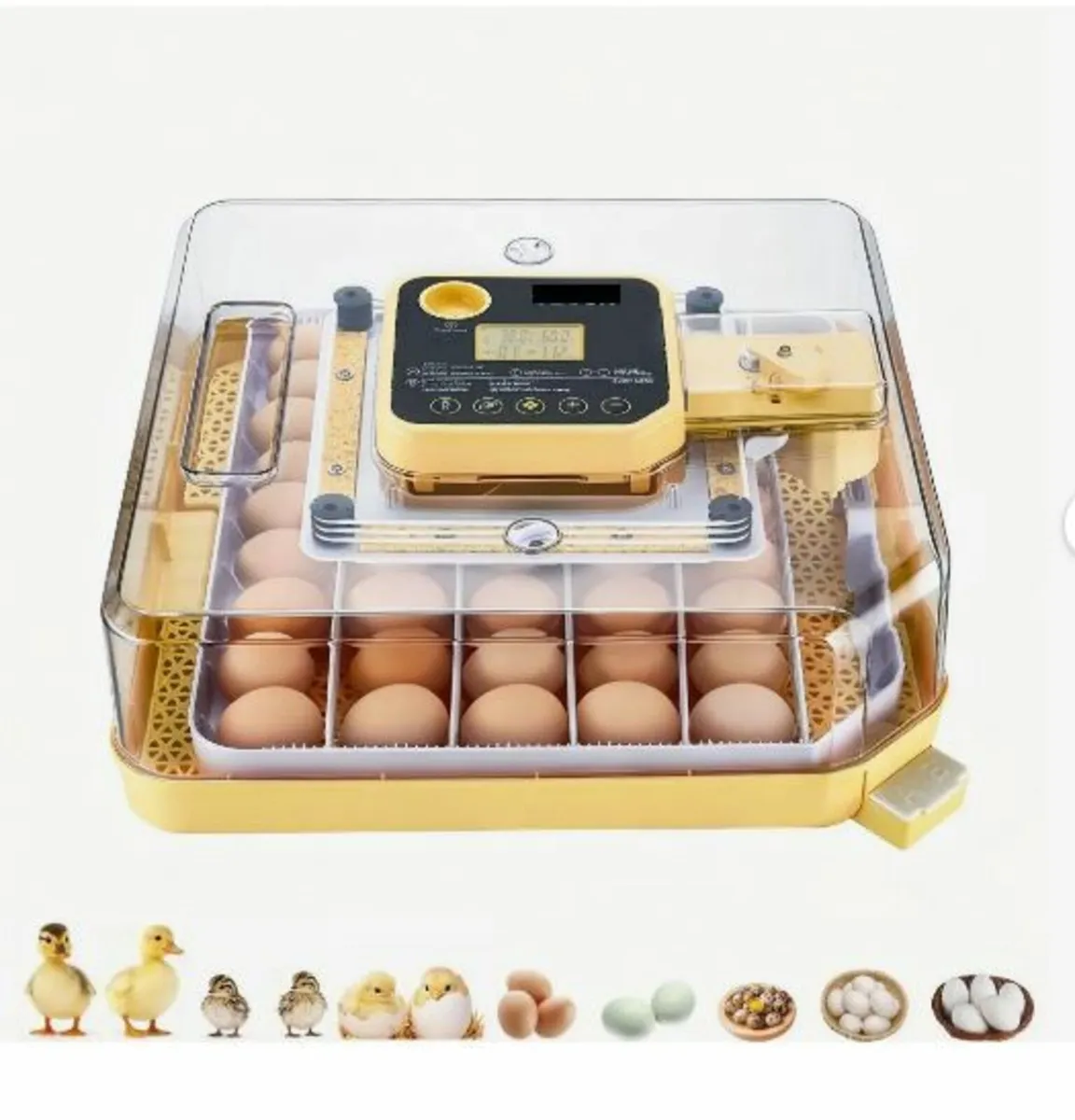 48 Egg Incubator, Automatic Egg Turner - Image 4