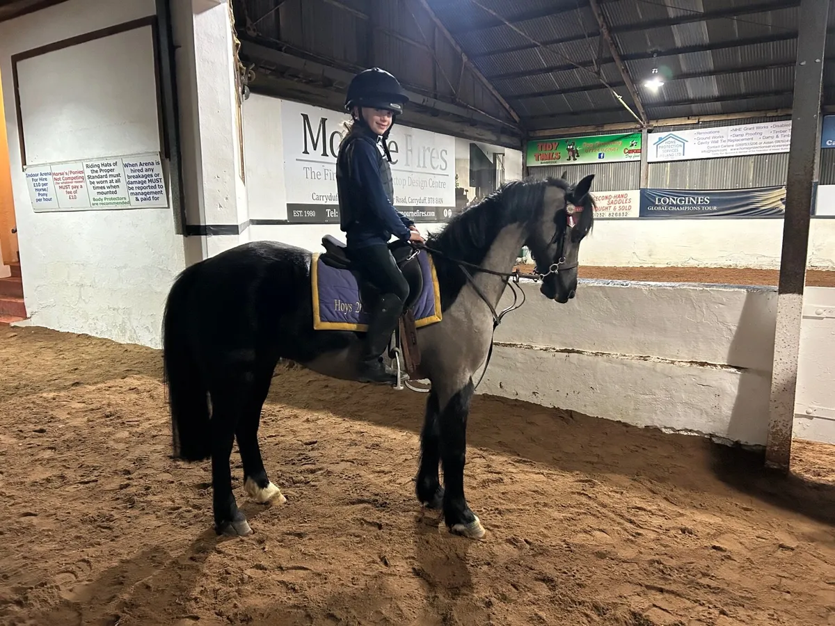 Smashing pony - Image 3