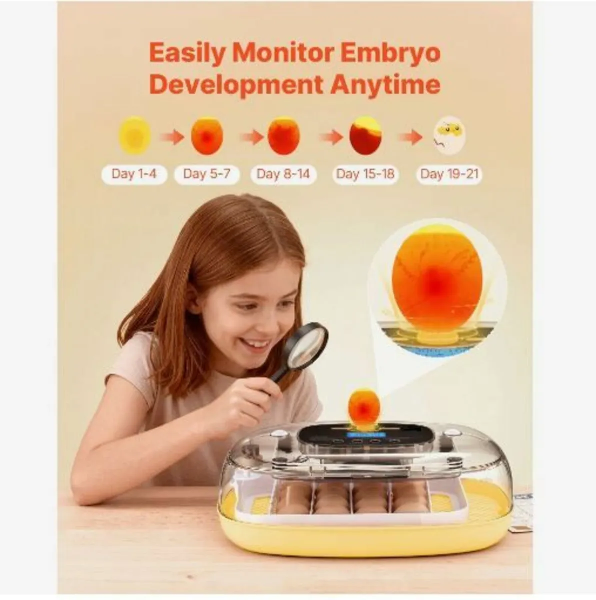 24 Egg Incubator, Automatic Egg - Image 2