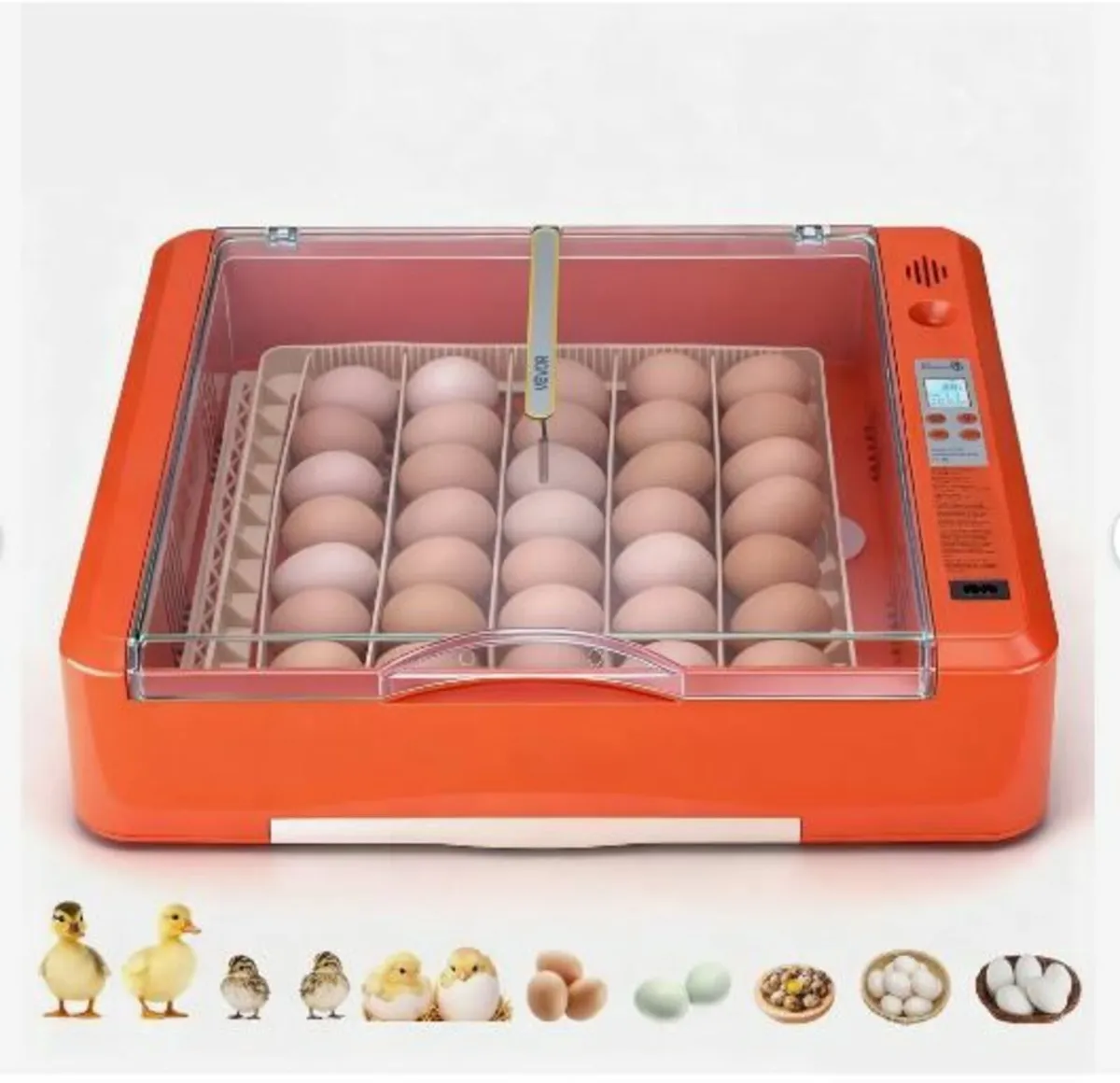 36 Egg Incubator, Automatic Egg Turner - Image 2