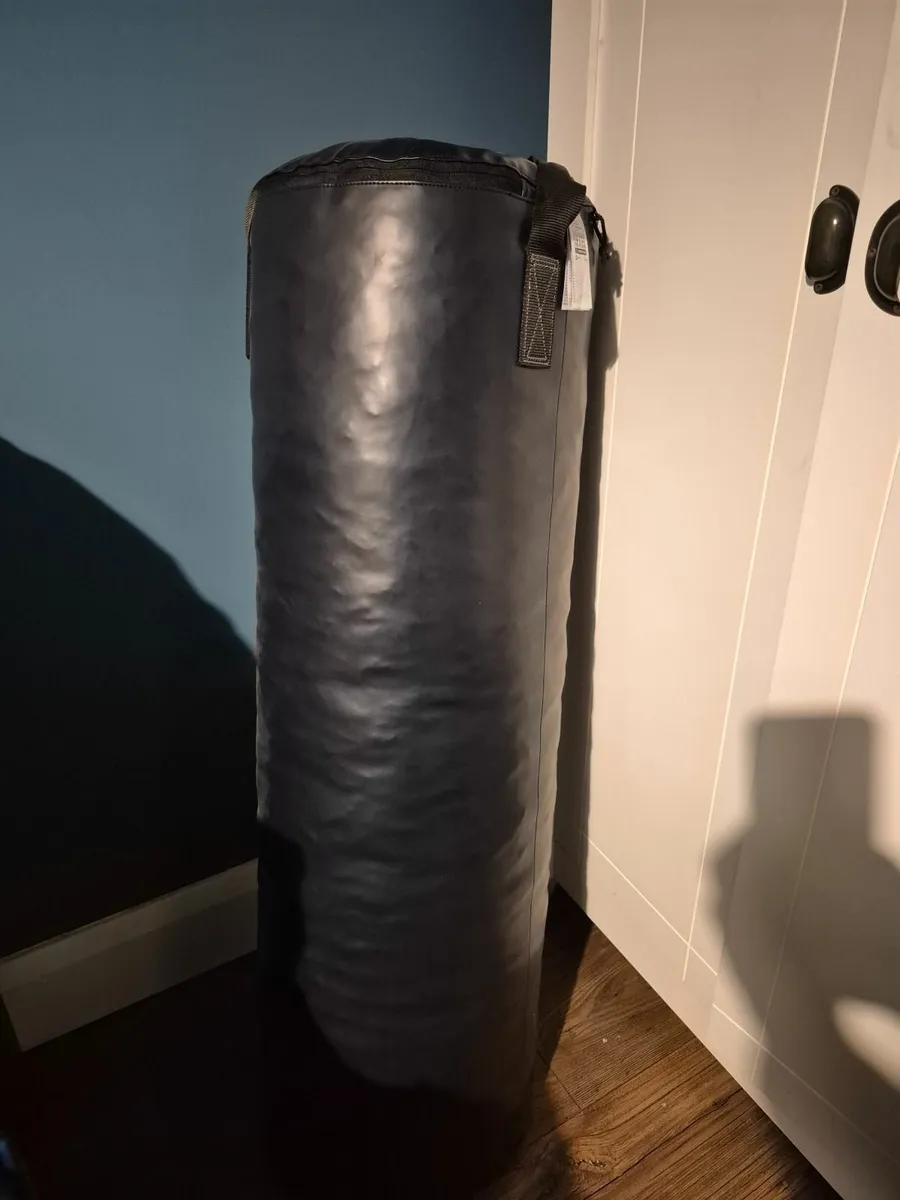 Punching / Kicking Bag 20 kg - Image 1