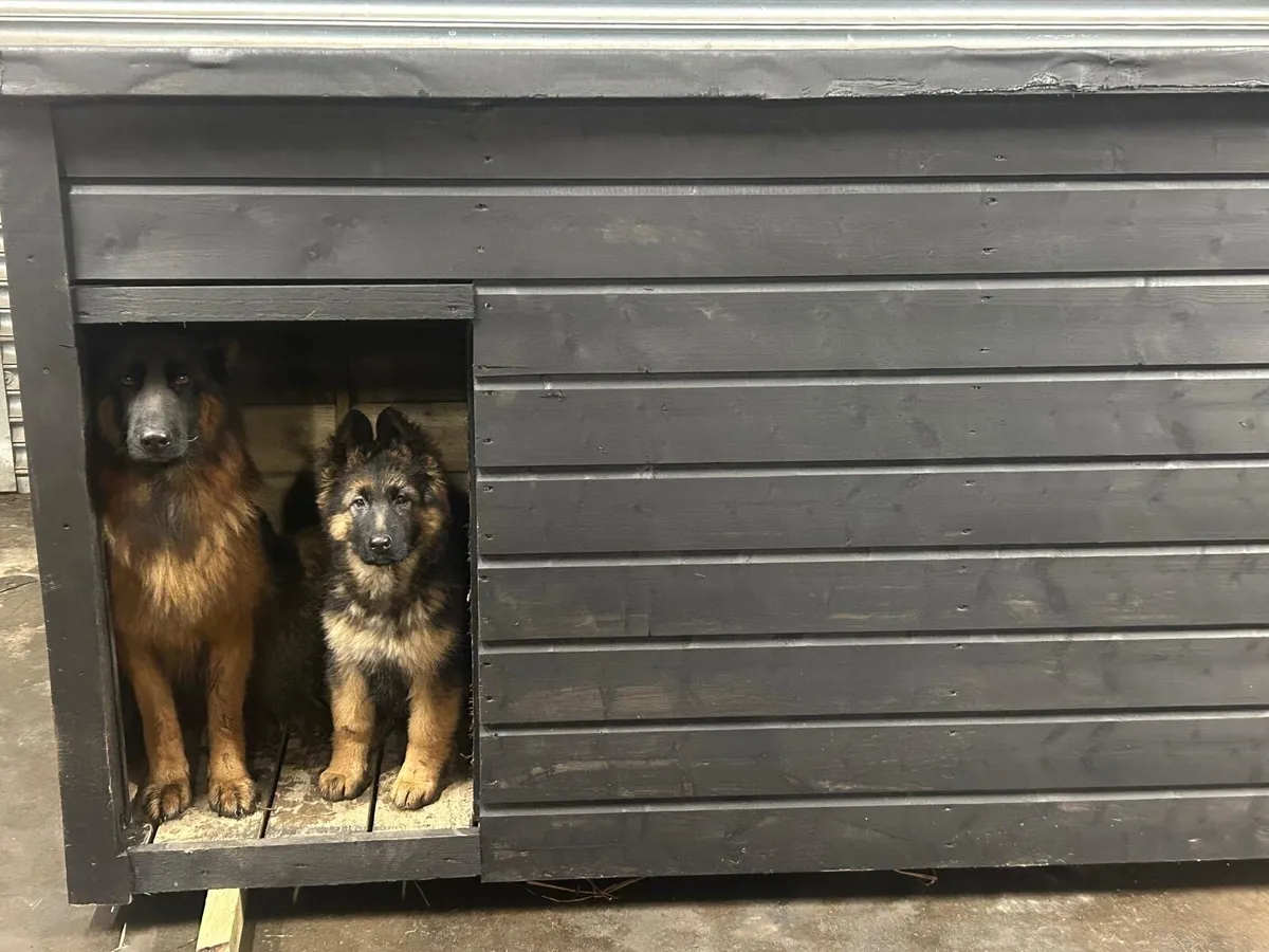 Dog Houses - Image 3