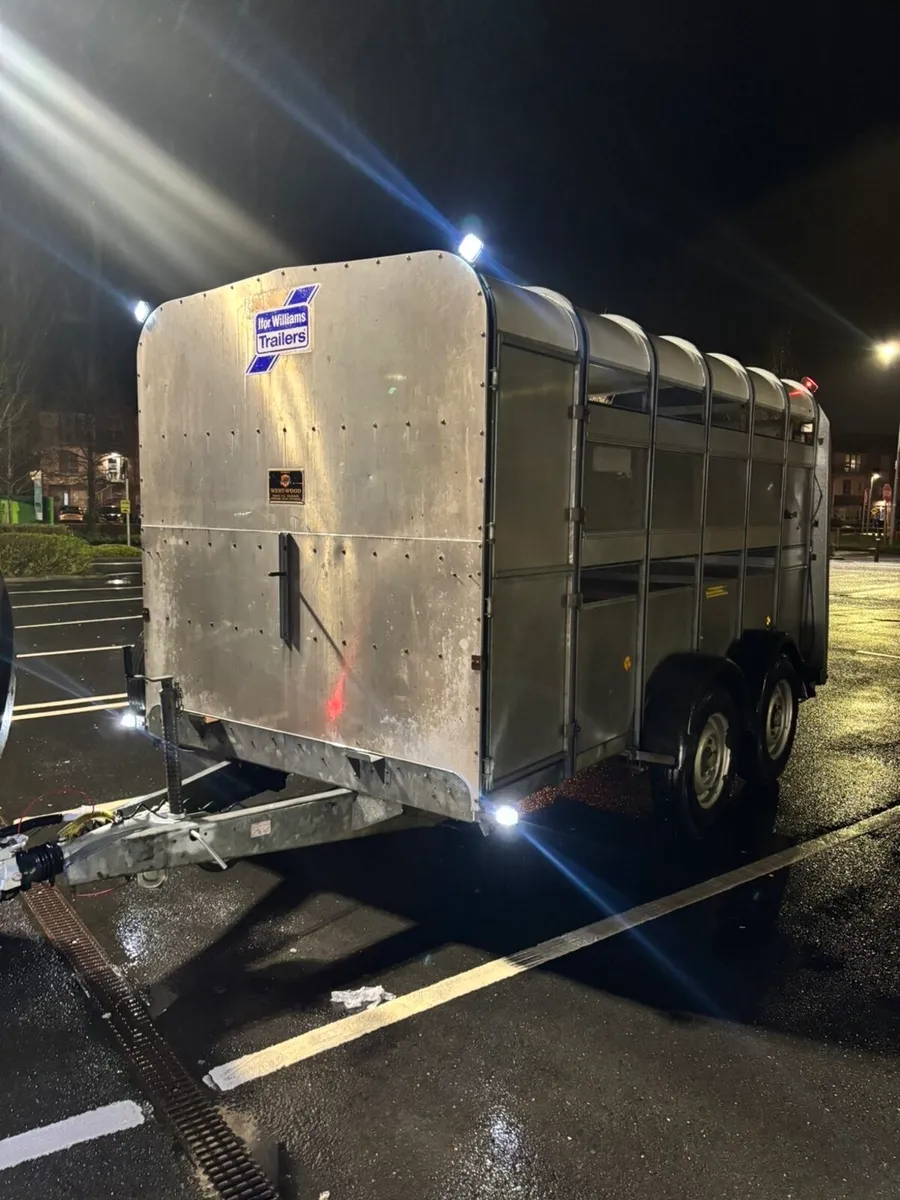 16x6,6 Ifor Williams cattle trailer - Image 2