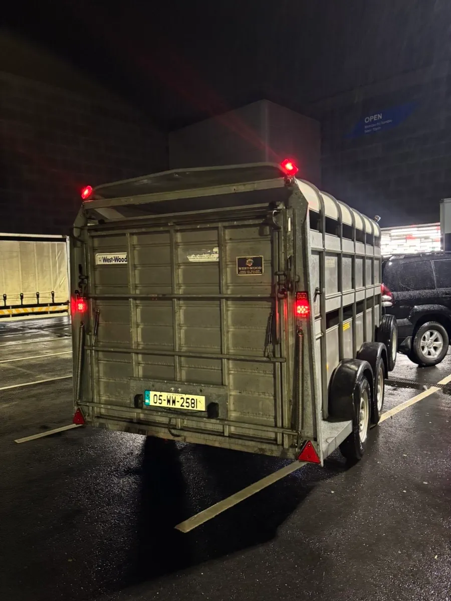 16x6,6 Ifor Williams cattle trailer - Image 3