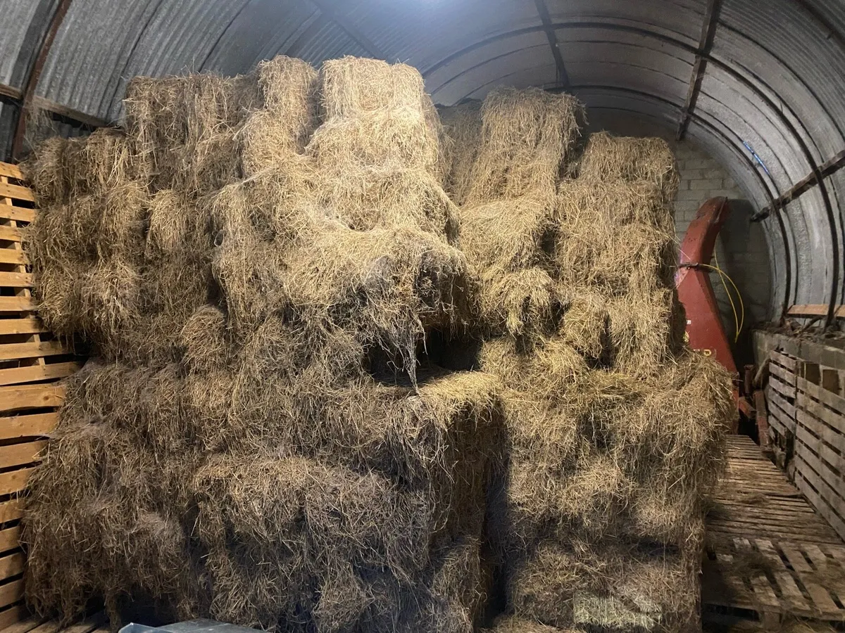 Hay for sale