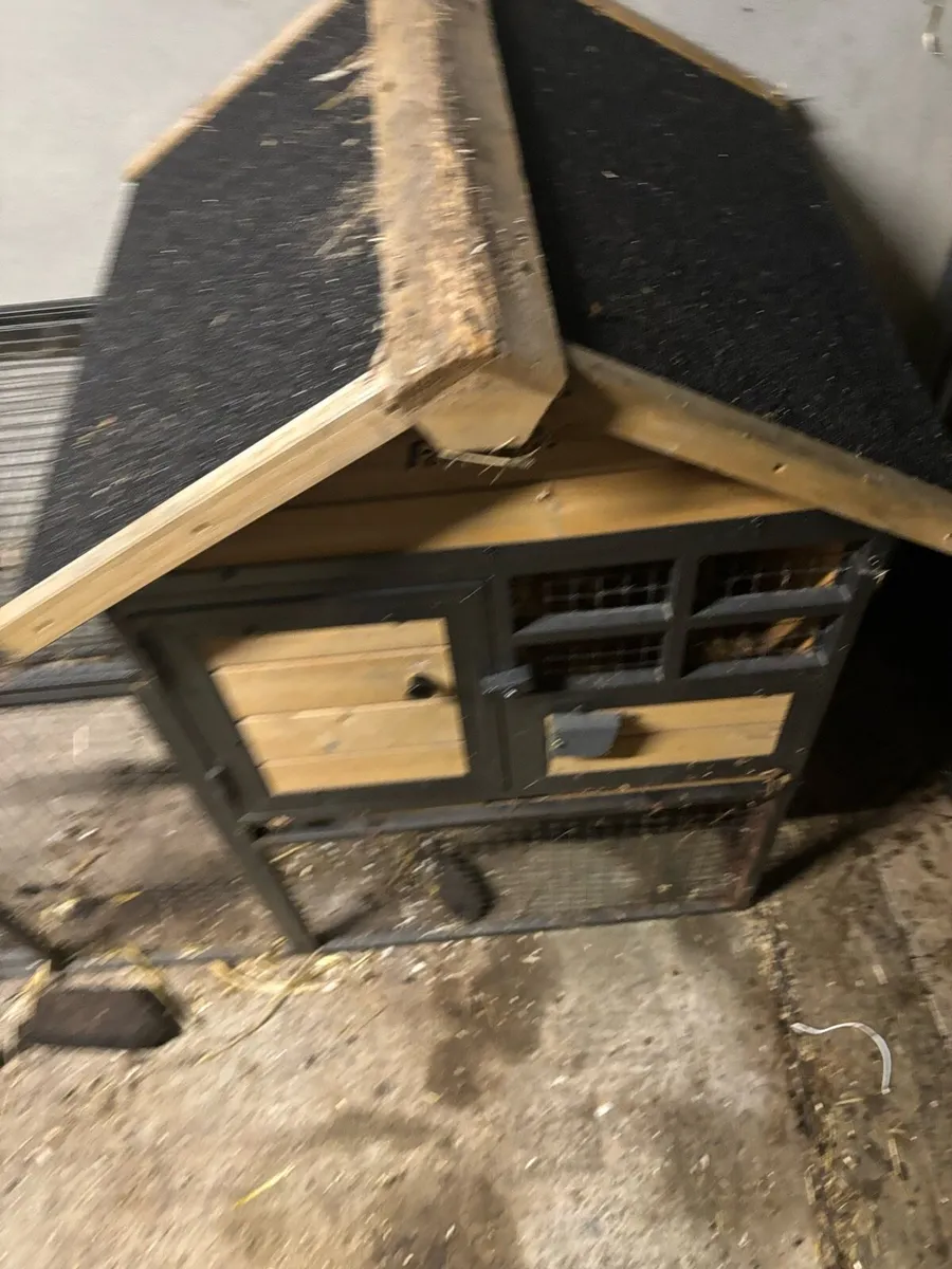 Rabbit hut - Image 4