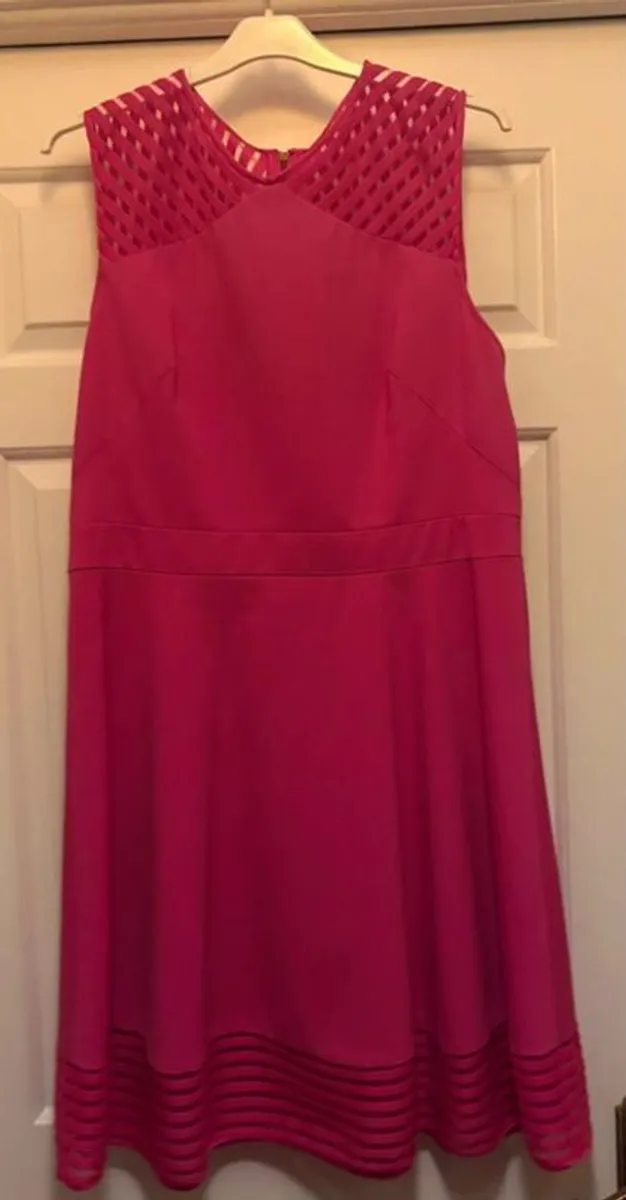 Ted Baker Dress - Image 1