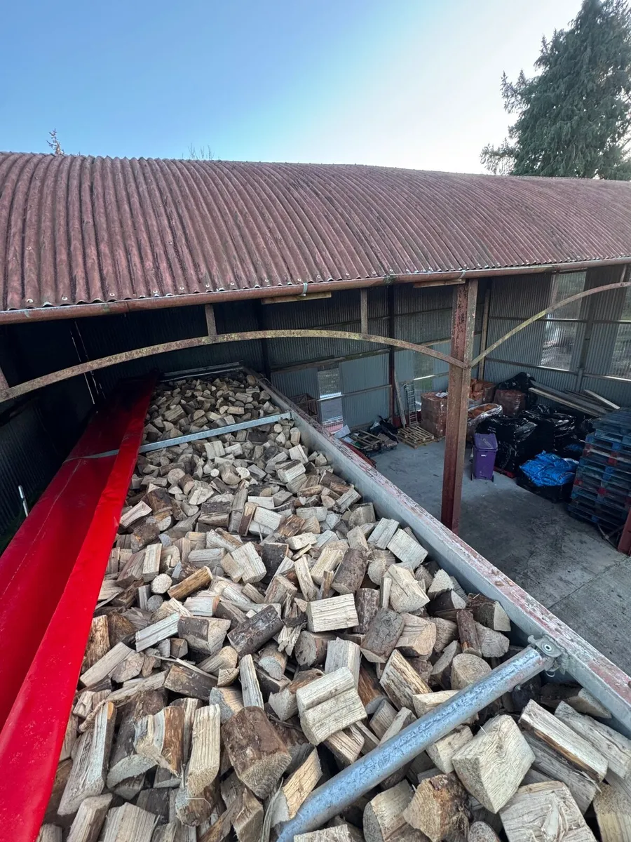 Firewood - Image 1