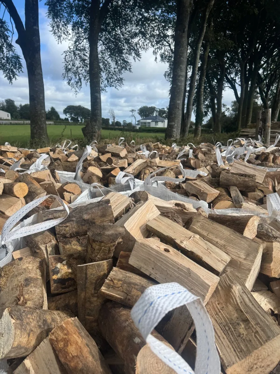 Firewood - Image 3