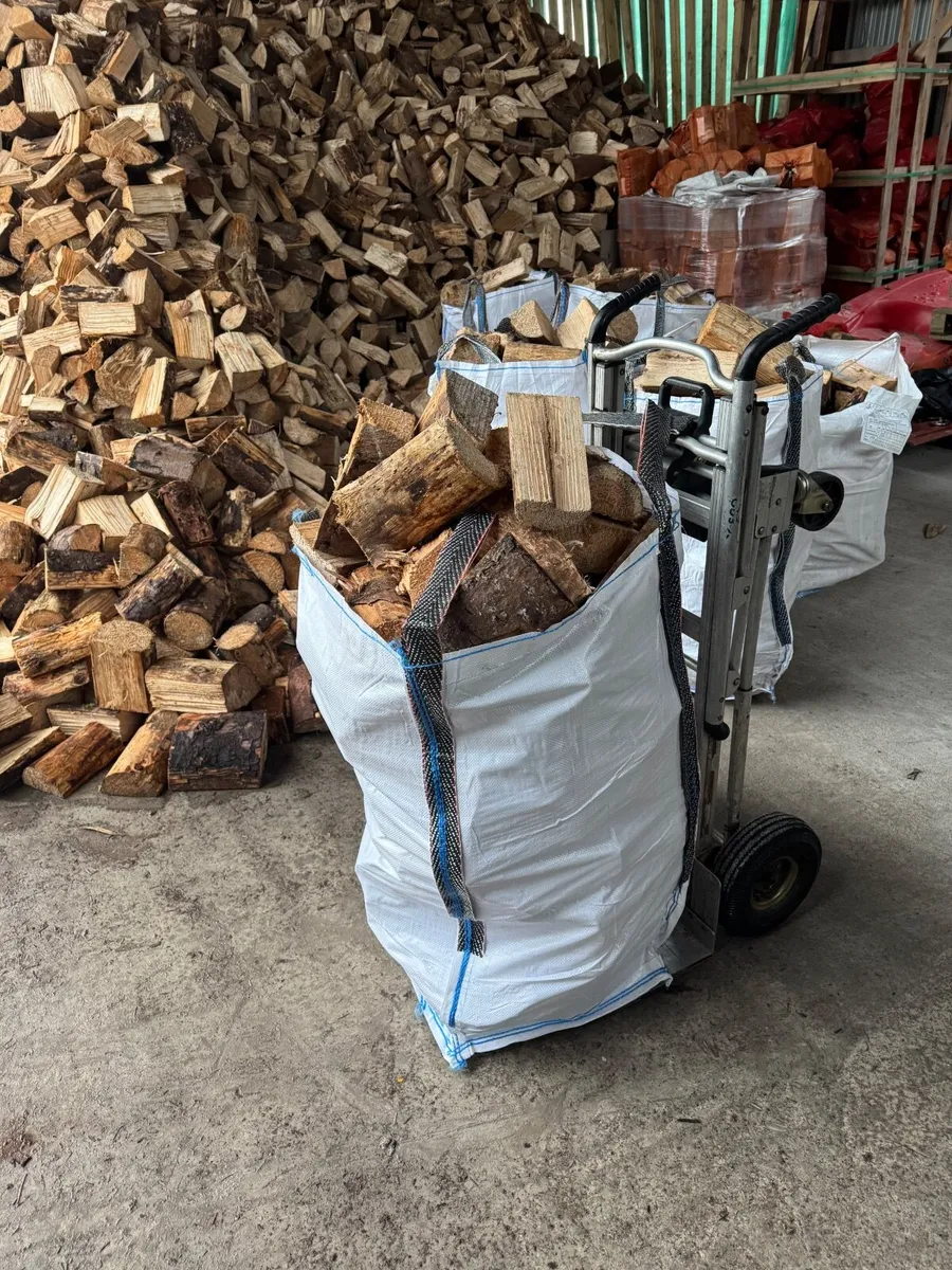 Firewood - Image 4