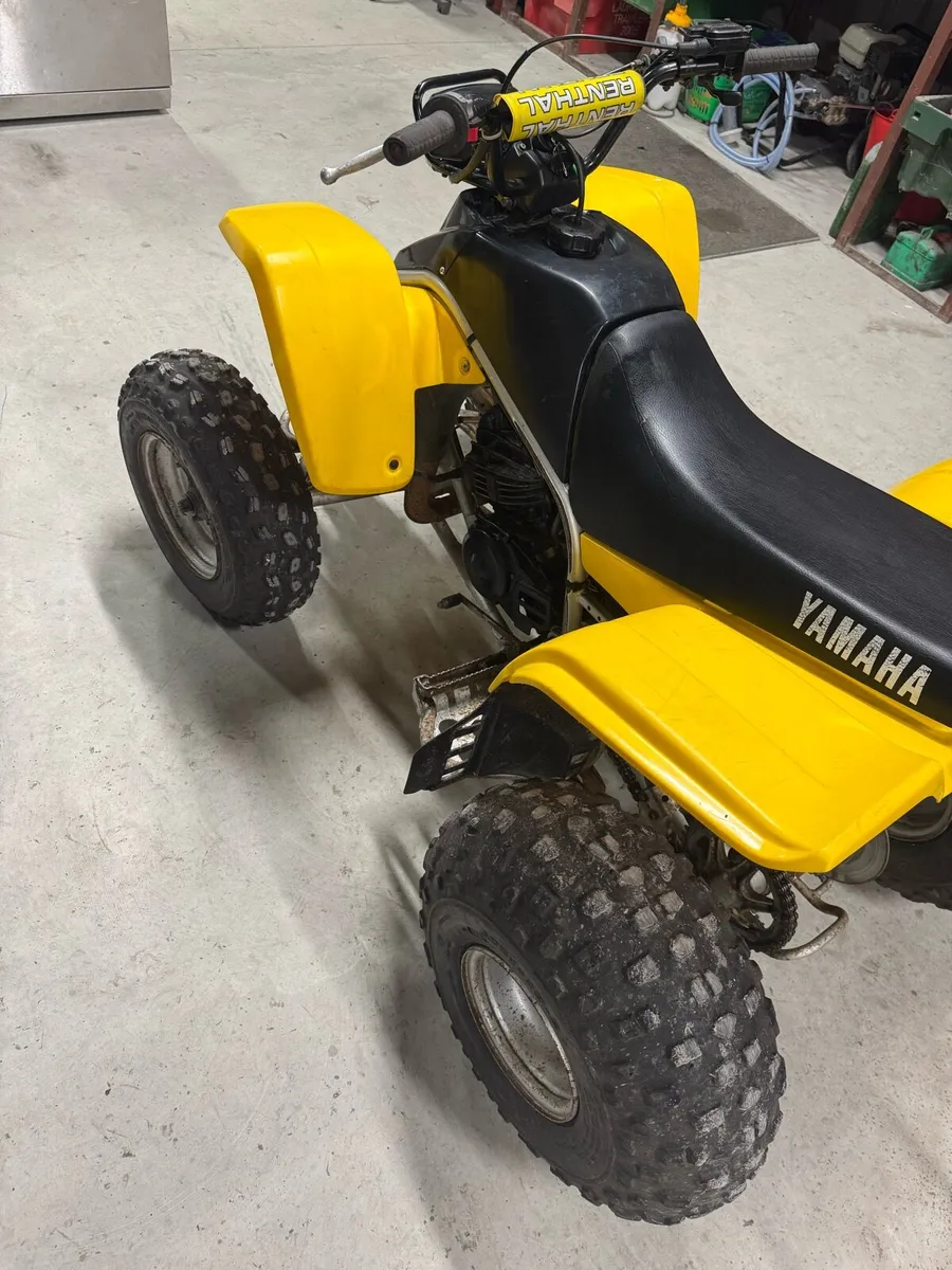 Yamaha  Blaster 200cc - Image 2