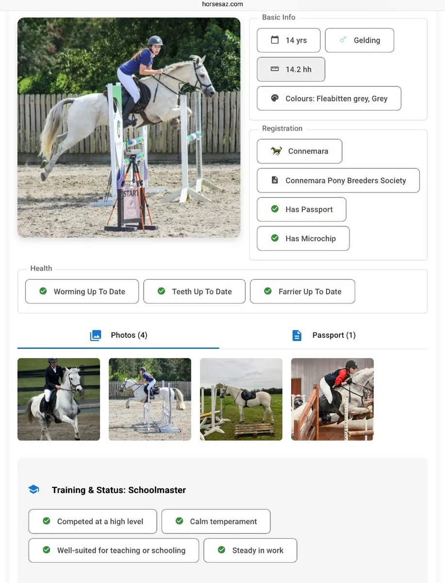 Selling a horse? Want a Free Professional Listing?