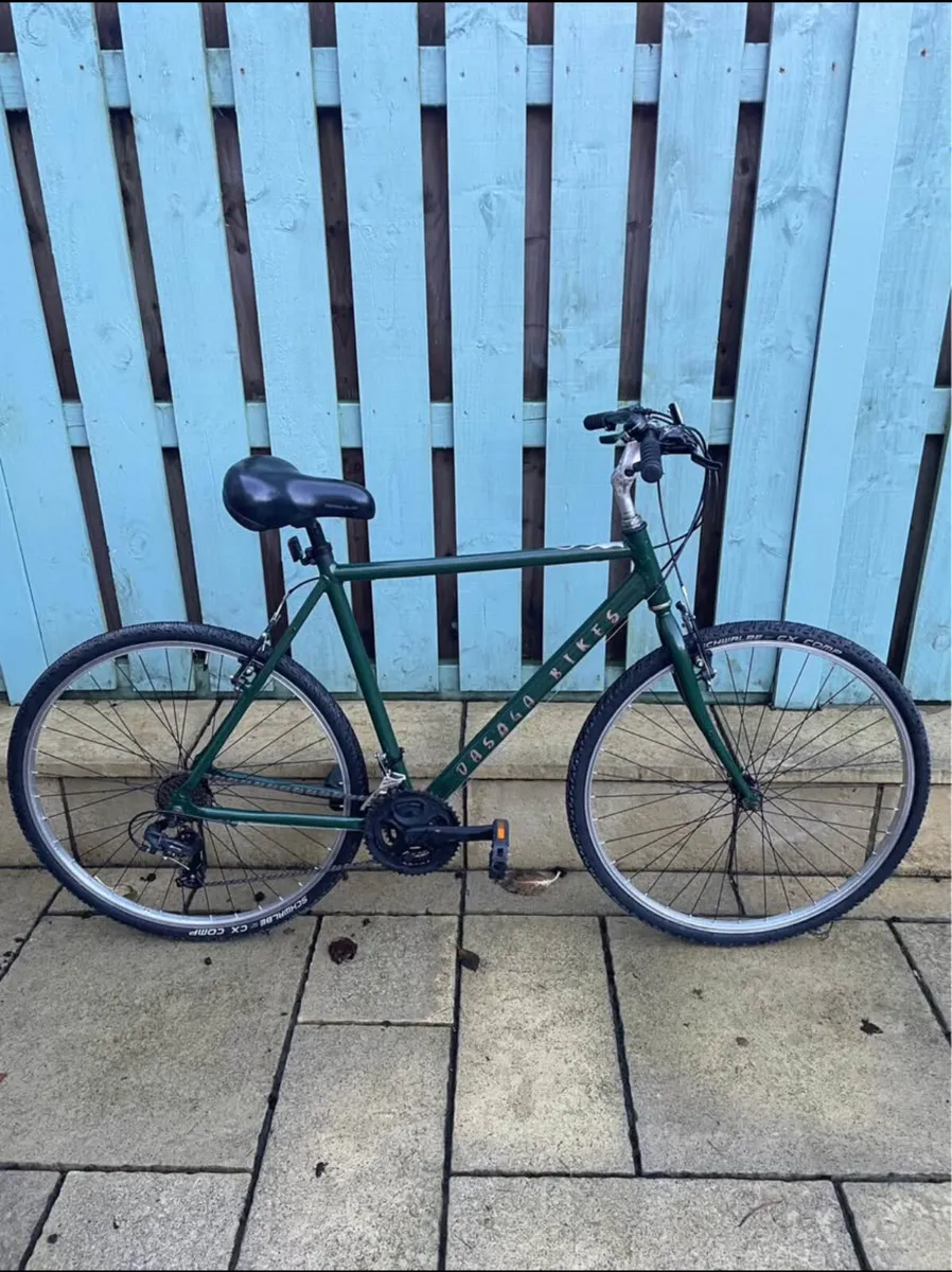 Adult Hybrid Bike - Image 1