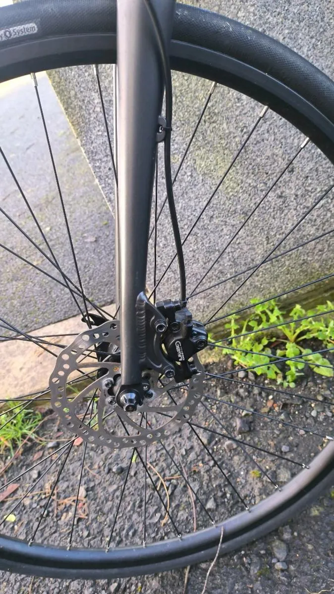 Electric bike size L - Image 2