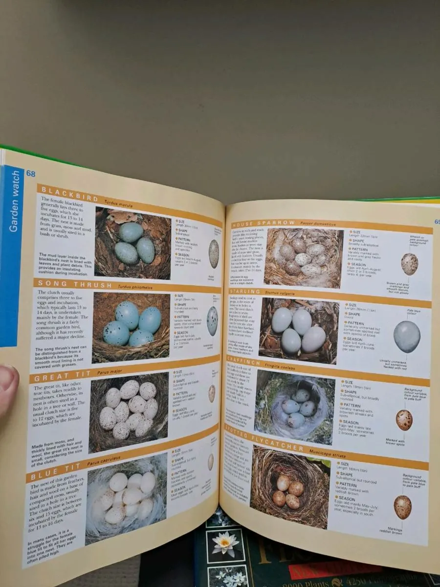 Gardens & Parks in Spring - Image 3