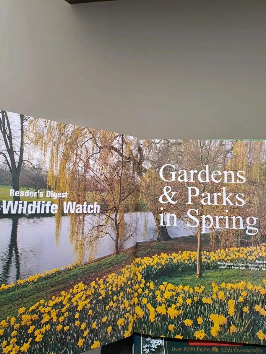 Gardens & Parks in Spring - Image 4