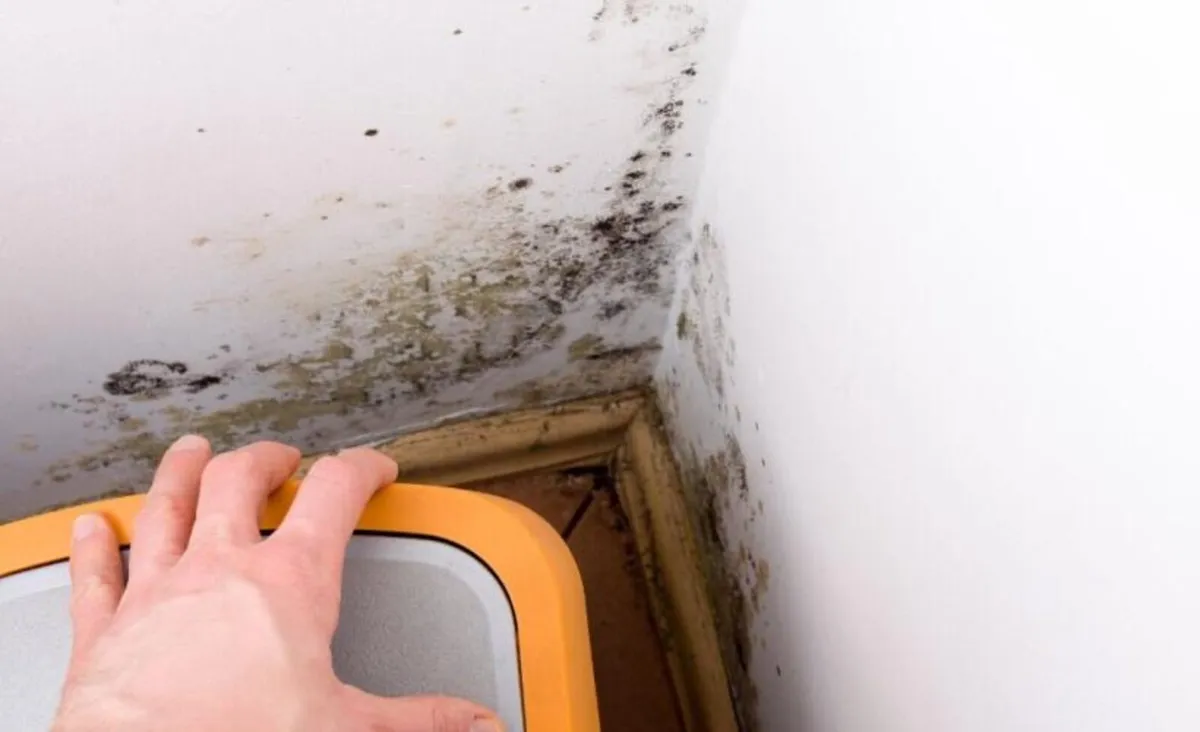 Single Room Ventilation - Image 2