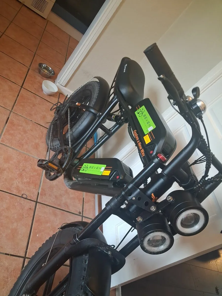 E bike - Image 3