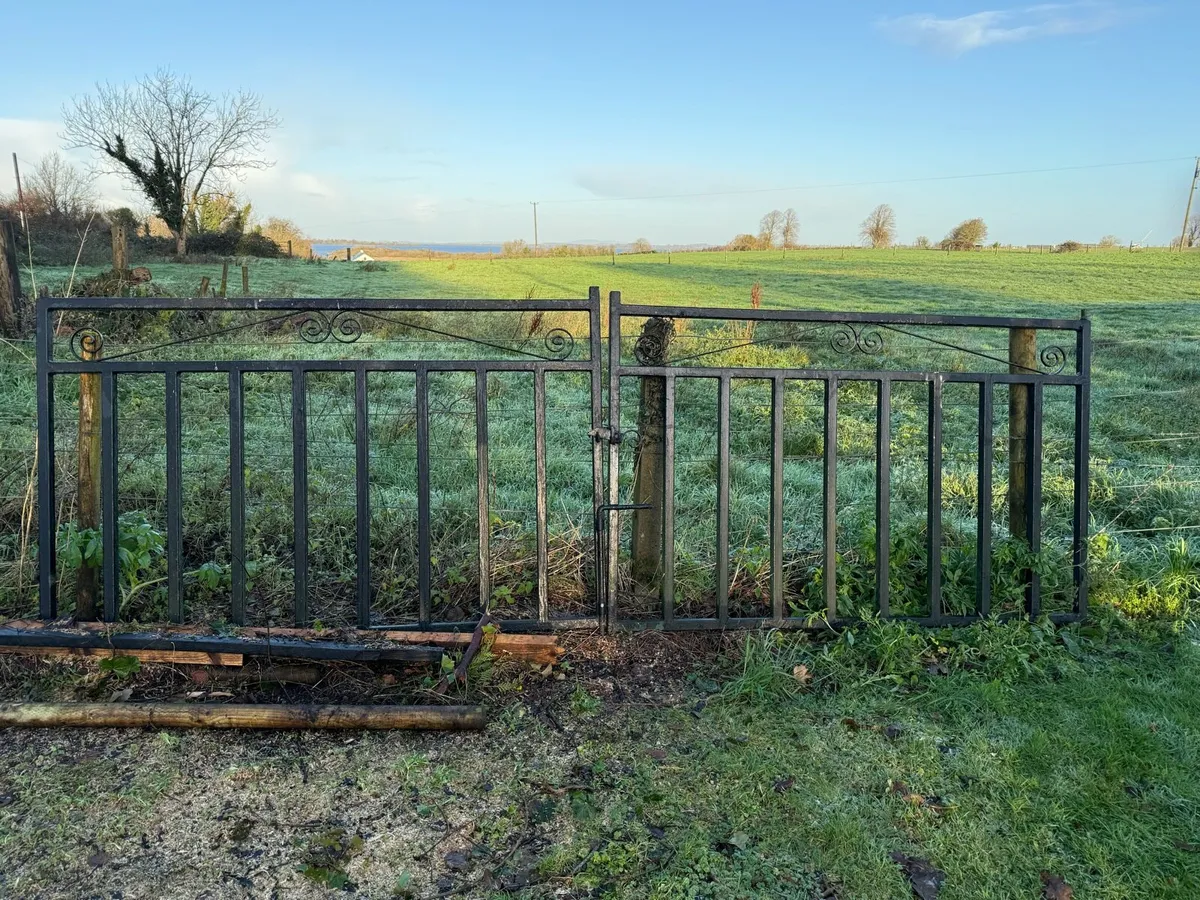 Entrance gates - Image 1